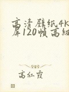 高清壁纸4k全屏120帧高级感女电脑
