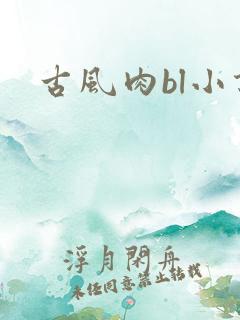 古风肉bl小说