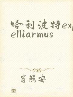 哈利波特expelliarmus