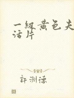 一级黄色夫妻生活片