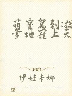 萌宝驾到:总裁爹地宠上天