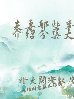 夫妻那些事剧情介绍分集大结局