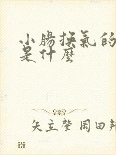 小肠换气的病因是什么