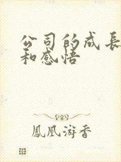 公司的成长经历和感悟