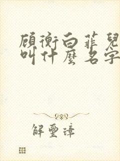 顾衡白菲儿小说叫什么名字