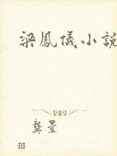 梁凤仪小说