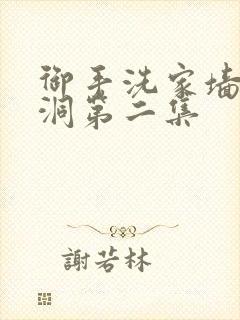 御手洗家墙壁破洞第二集