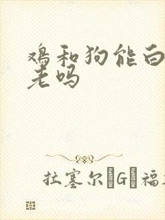鸡和狗能白头到老吗