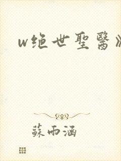 w绝世圣医》