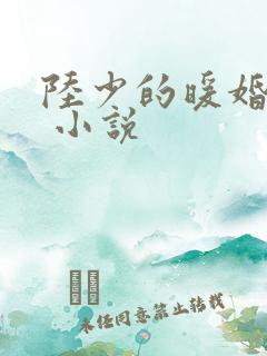 陆少的暖婚新妻 小说