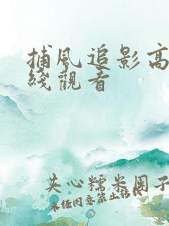捕风追影高清在线观看