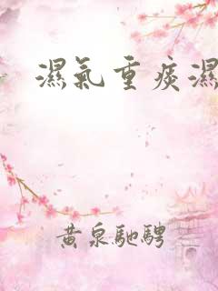 湿气重痰湿重