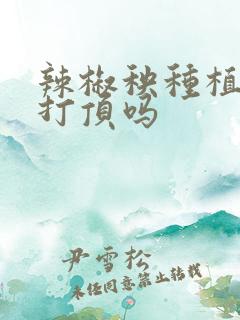 辣椒秧种植时要打顶吗