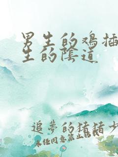 男生的鸡插进女生的阴道