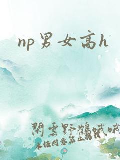 np男女高h