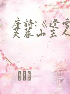 唐诗:《逢雪宿芙蓉山主人》