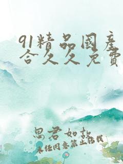 91精品国产综合久久免费
