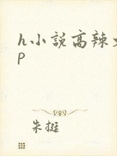 h小说高辣文np