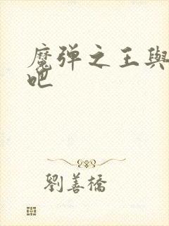 魔弹之王与战姬吧