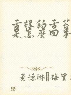 舌根的舌苔厚白是怎么回事