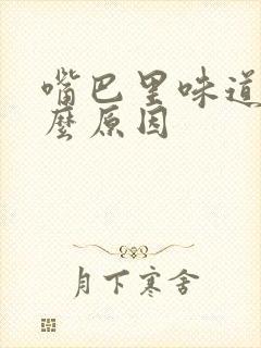 嘴巴里味道大什么原因