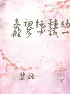 泰迪纯种幼犬一般多少钱一只