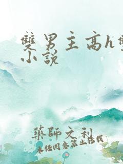双男主高h双性小说