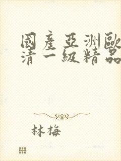 国产亚洲欧美高清一级精品