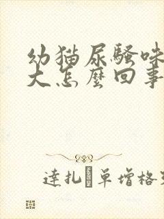 幼猫尿骚味特别大怎么回事