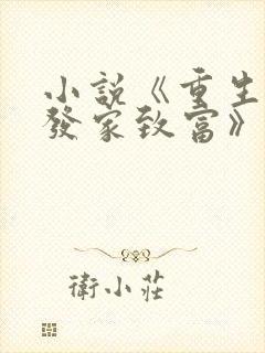 小说《重生九零发家致富》
