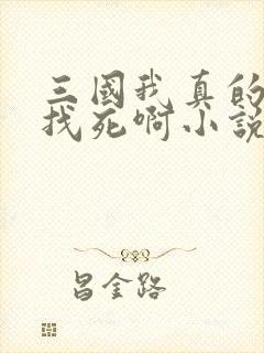 三国我真的只想找死啊小说