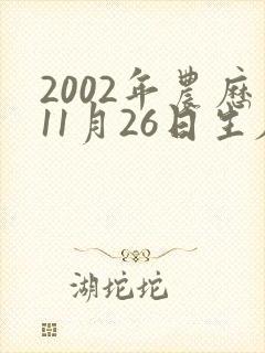 2002年农历11月26日生辰八字