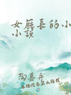 女厅长的小丈夫小说