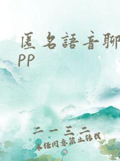 匿名语音聊天app