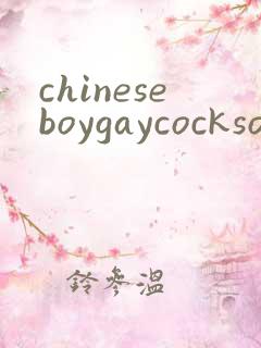 chineseboygaycocksolo