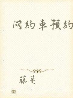 网约车预约平台