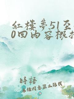 红楼梦51至60回内容概括