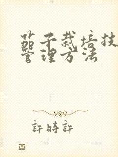 茄子栽培技术和管理方法