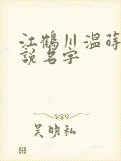 江鹤川温莳一小说名字