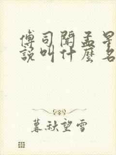 傅司闻孟星的小说叫什么名字