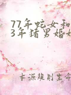 77年蛇女和83年猪男婚姻