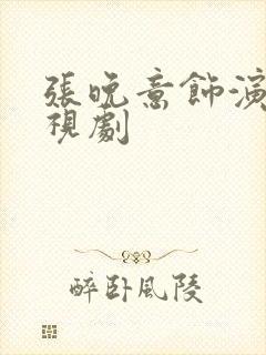张晚意饰演的电视剧