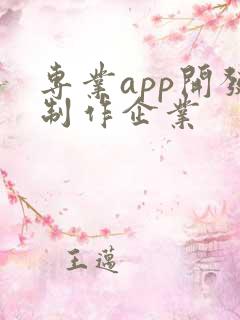 专业app开发制作企业