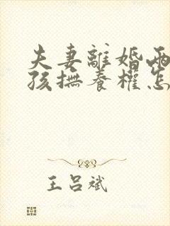 夫妻离婚两个小孩抚养权怎么判定