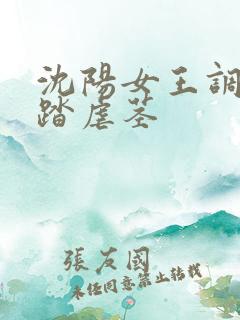 沈阳女王调教踩踏虐茎