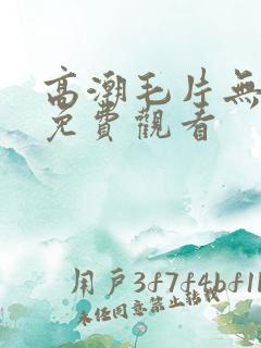 高潮毛片无遮挡免费观看