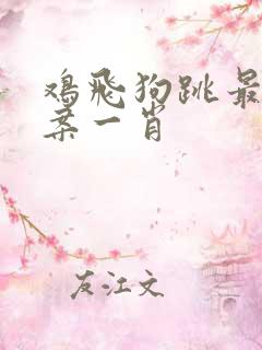 鸡飞狗跳最佳答案一肖