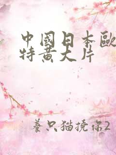 中国日本欧美级特黄大片