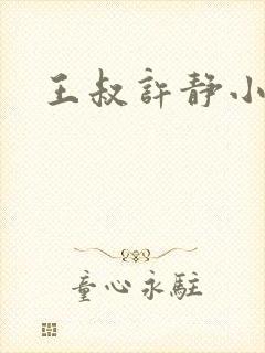 王叔许静小说