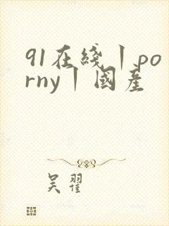 91在线丨porny丨国产